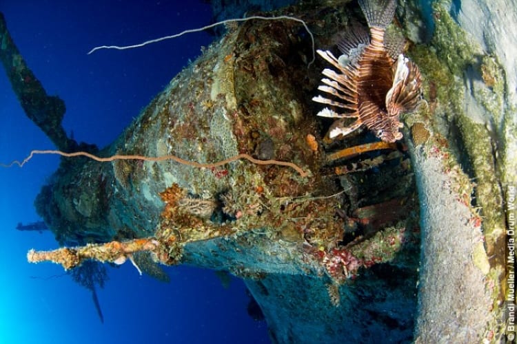 Underwater WW2 Plane Graveyard