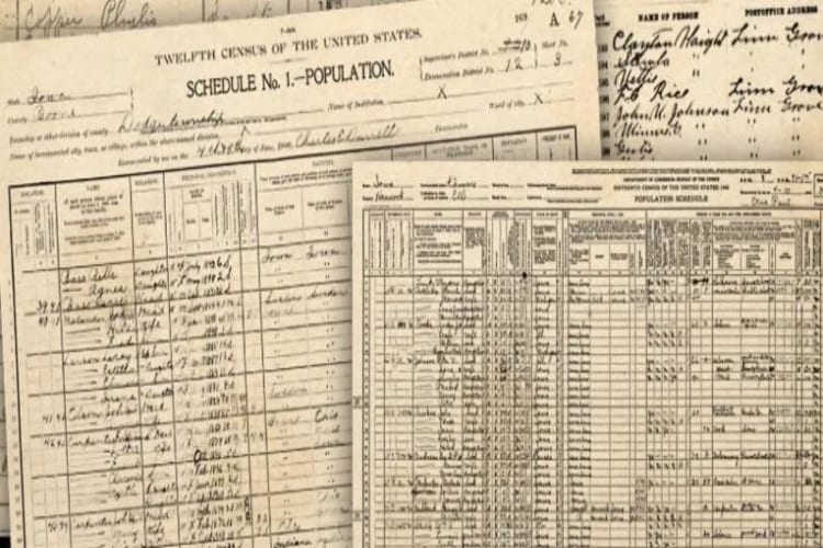 Alvera Rita White Like Her Gail Lukasik