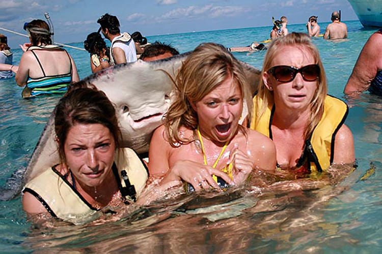 Perfectly Timed Photos