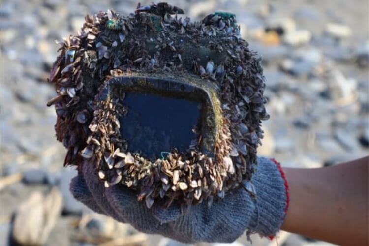Camera Found Lost At Sea