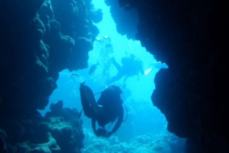 Camera Found Lost At Sea