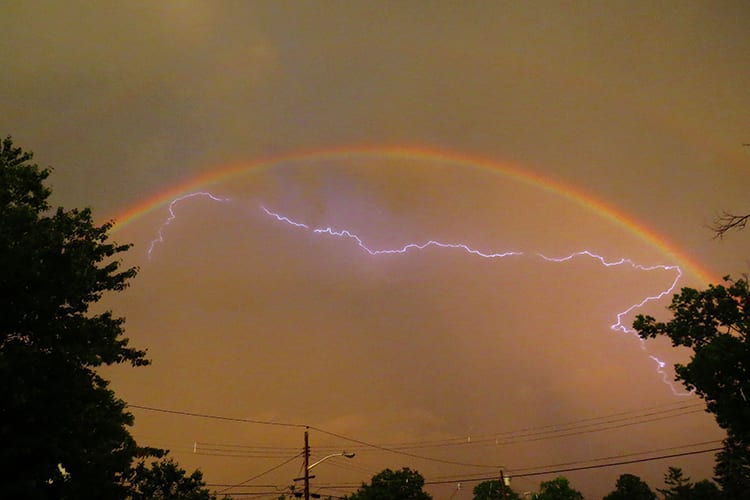 Perfectly Timed Photos