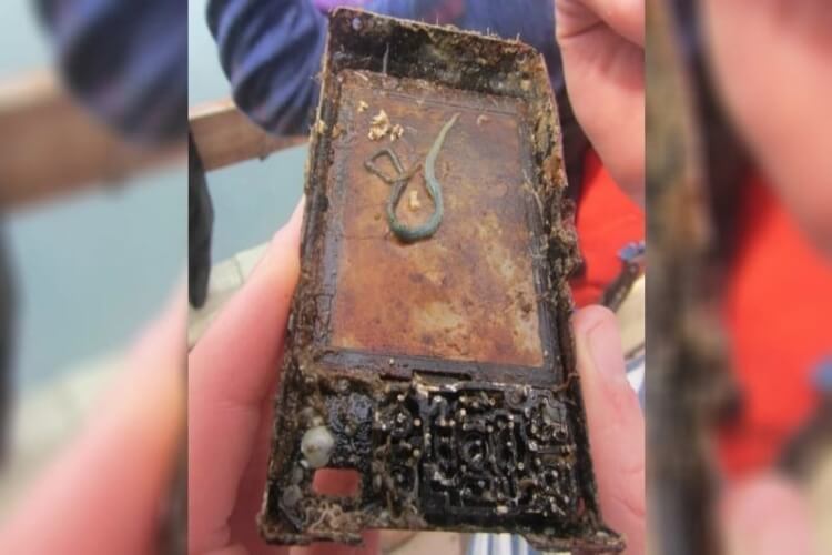 Camera Found Lost At Sea