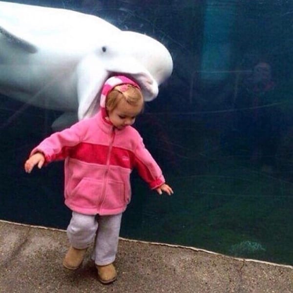 Perfectly Timed Photos