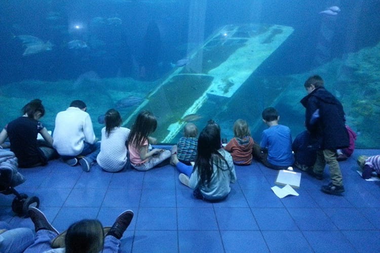 Britain's Biggest Family