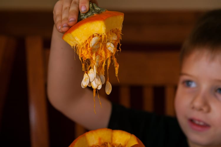 What to Do With Pumpkin Guts