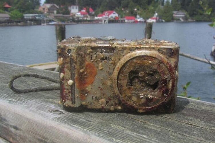 Camera Found Lost At Sea