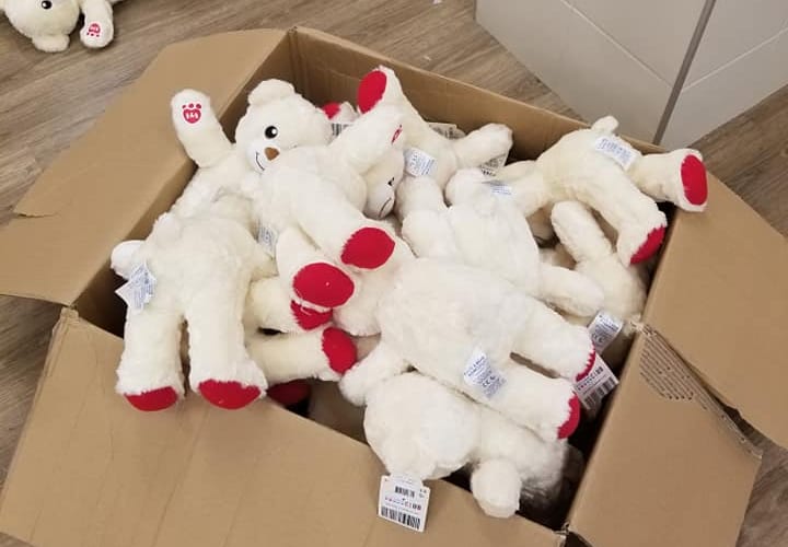 Man Donates Over 3,000 Build-A-Bears To Children In Hospitals